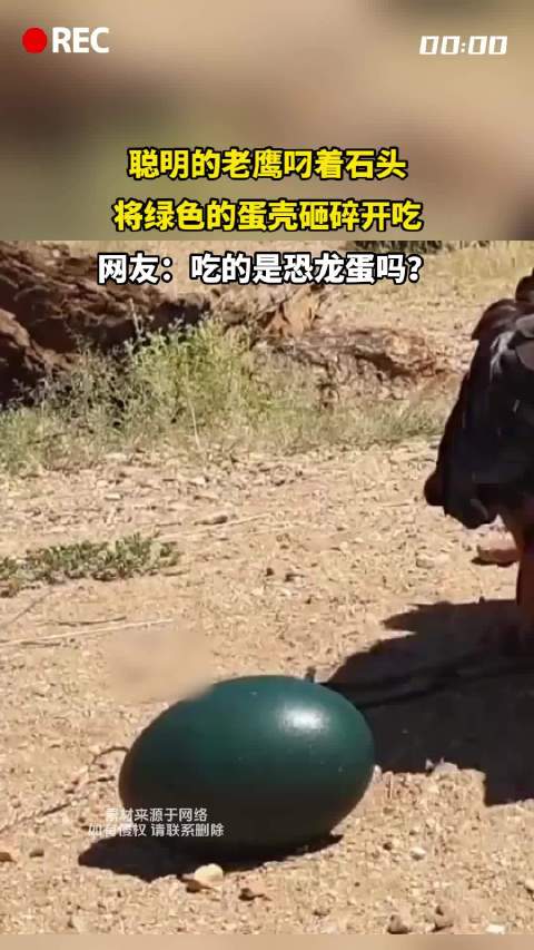 斯诺克世锦赛奥沙利文险胜吴宜泽晋级决赛