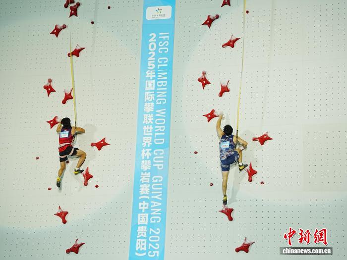 贵阳国际攀联世界杯速度赛中国选手双冠：储守